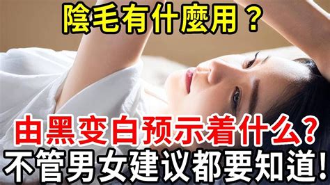 陰毛可以用拔的嗎|陰毛除不除？盤點私密常見問題+6種除毛方法 